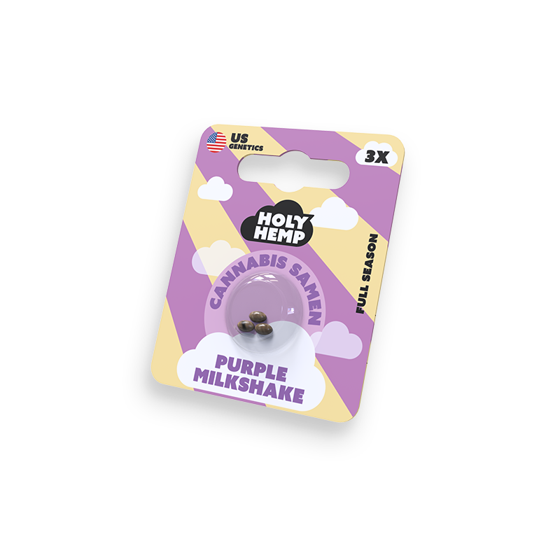 Holy Hemp Cannabissamen Purple Milkshake