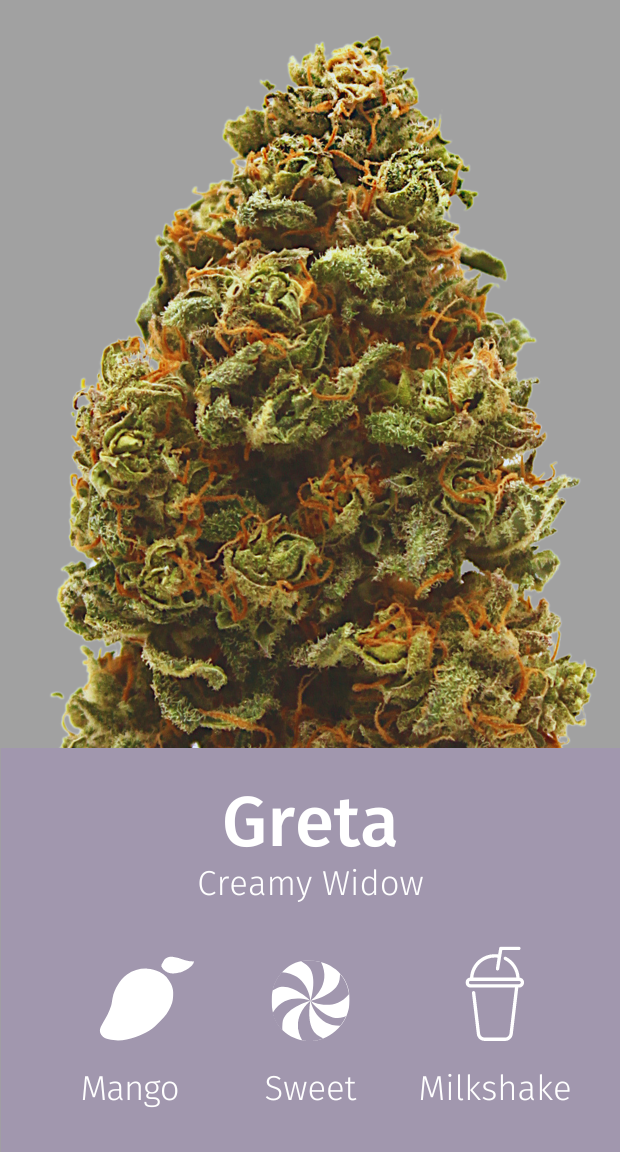 Aromabeschreibung-Greta.png CBD Blüten Aromabeschreibung