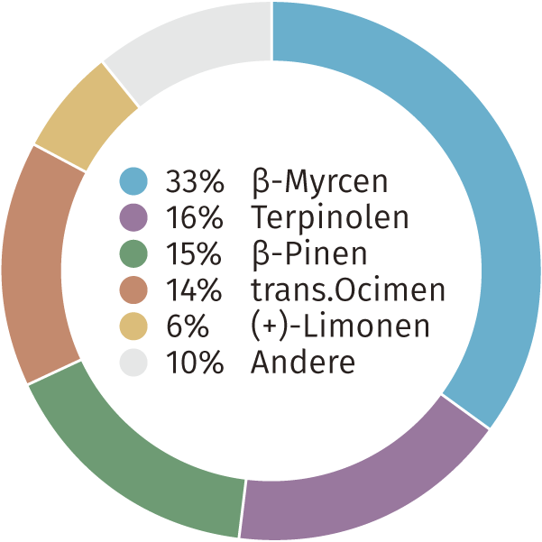 CBD Blüten Terpenen