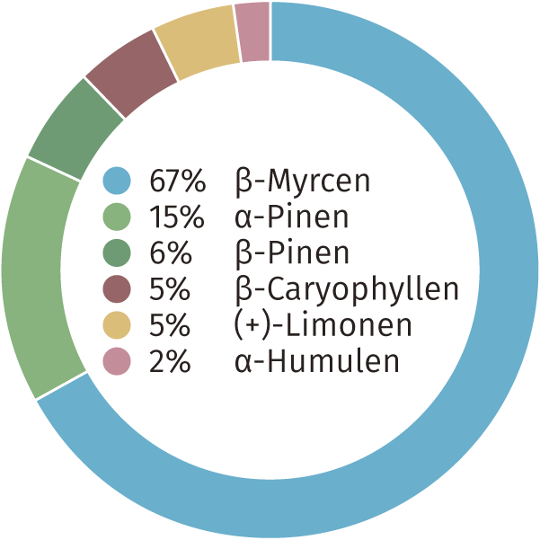 CBD Blüten Terpenen