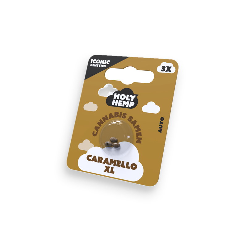 Holy Hemp Cannabissamen Caramello XL