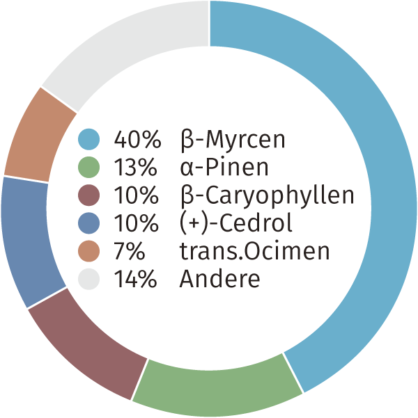 CBD Blüten Terpenen
