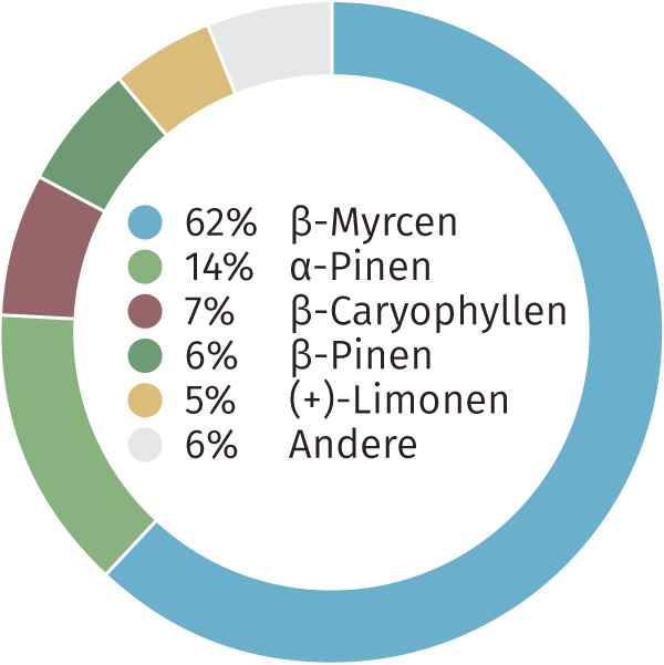 CBD Blüten Terpenen