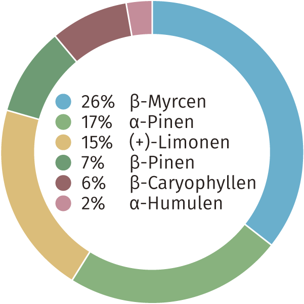 CBD Blüten Terpenen
