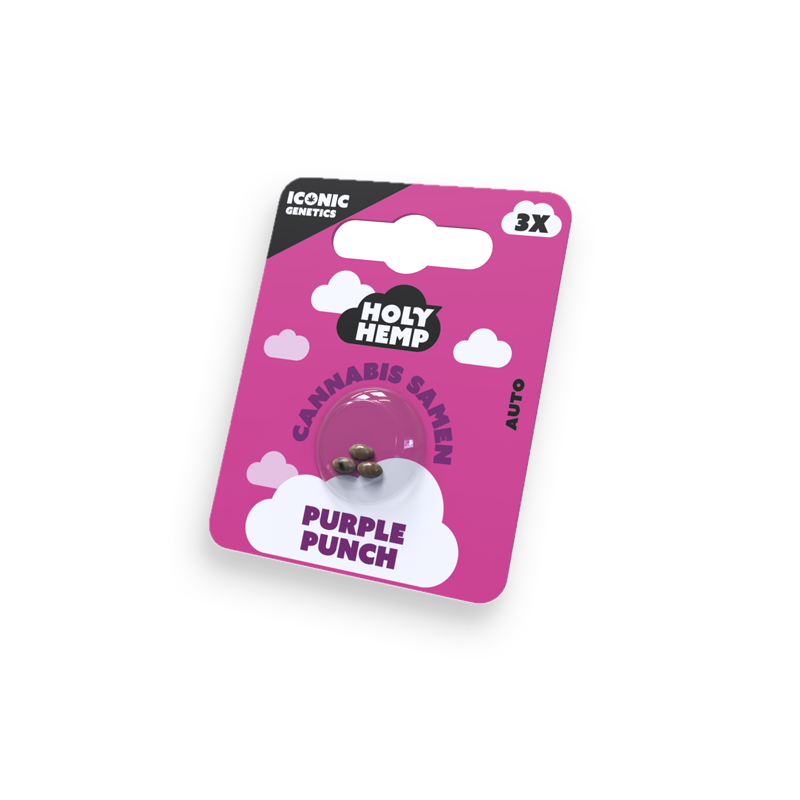 Holy Hemp Cannabissamen Purple Punch
