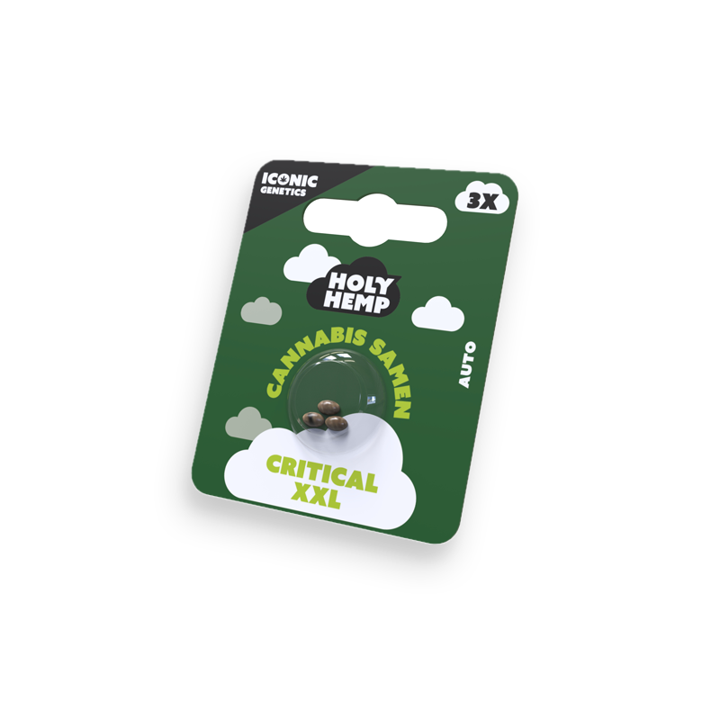 Holy Hemp Cannabissamen Critical XXL
