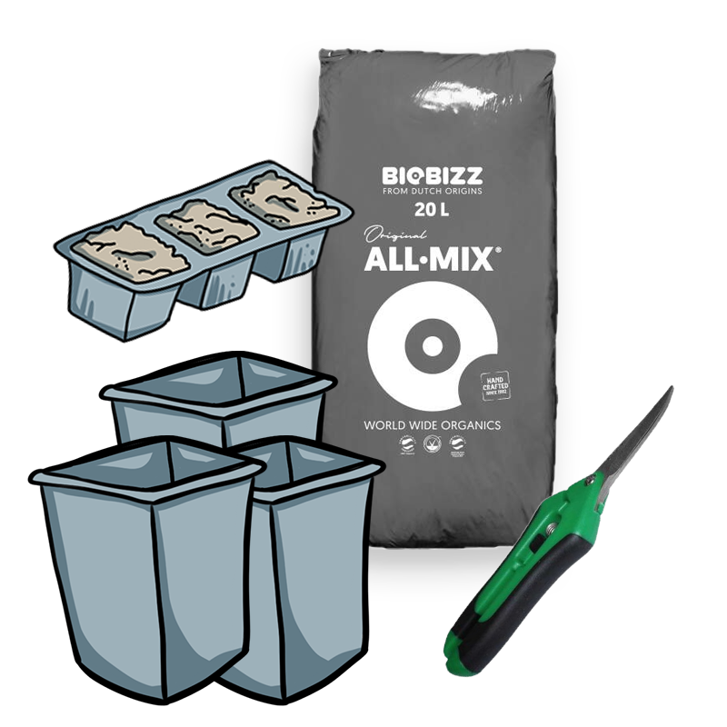 Cannabis Growset