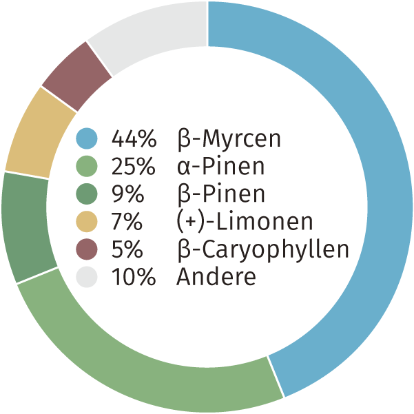 CBD Blüten Terpenen