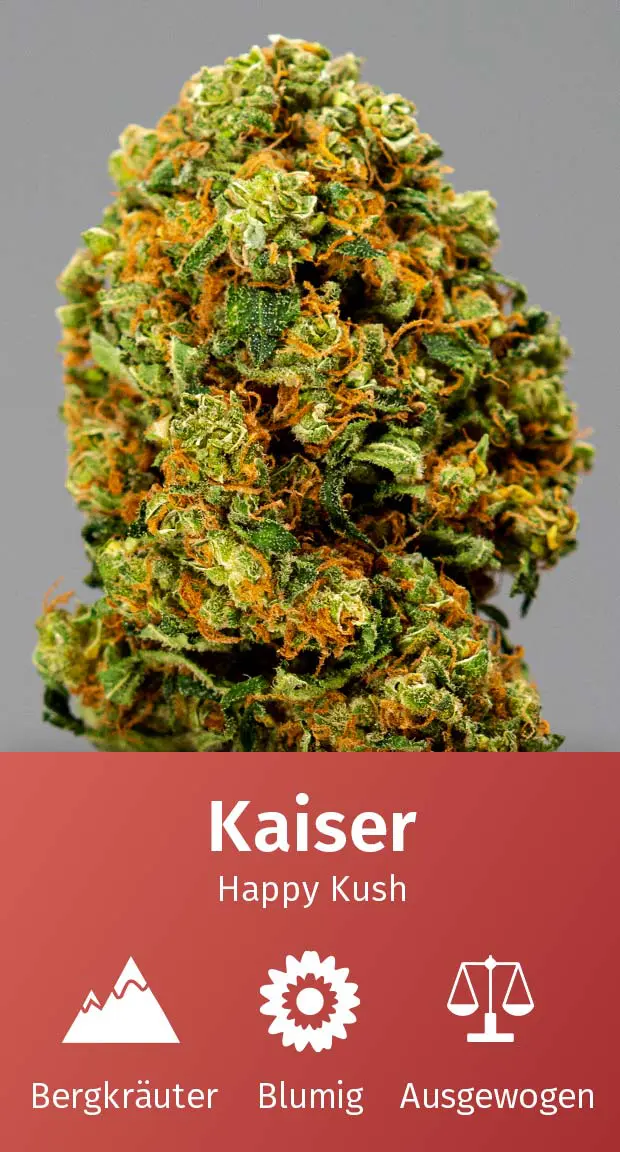 CBD Blüten Aromabeschreibung