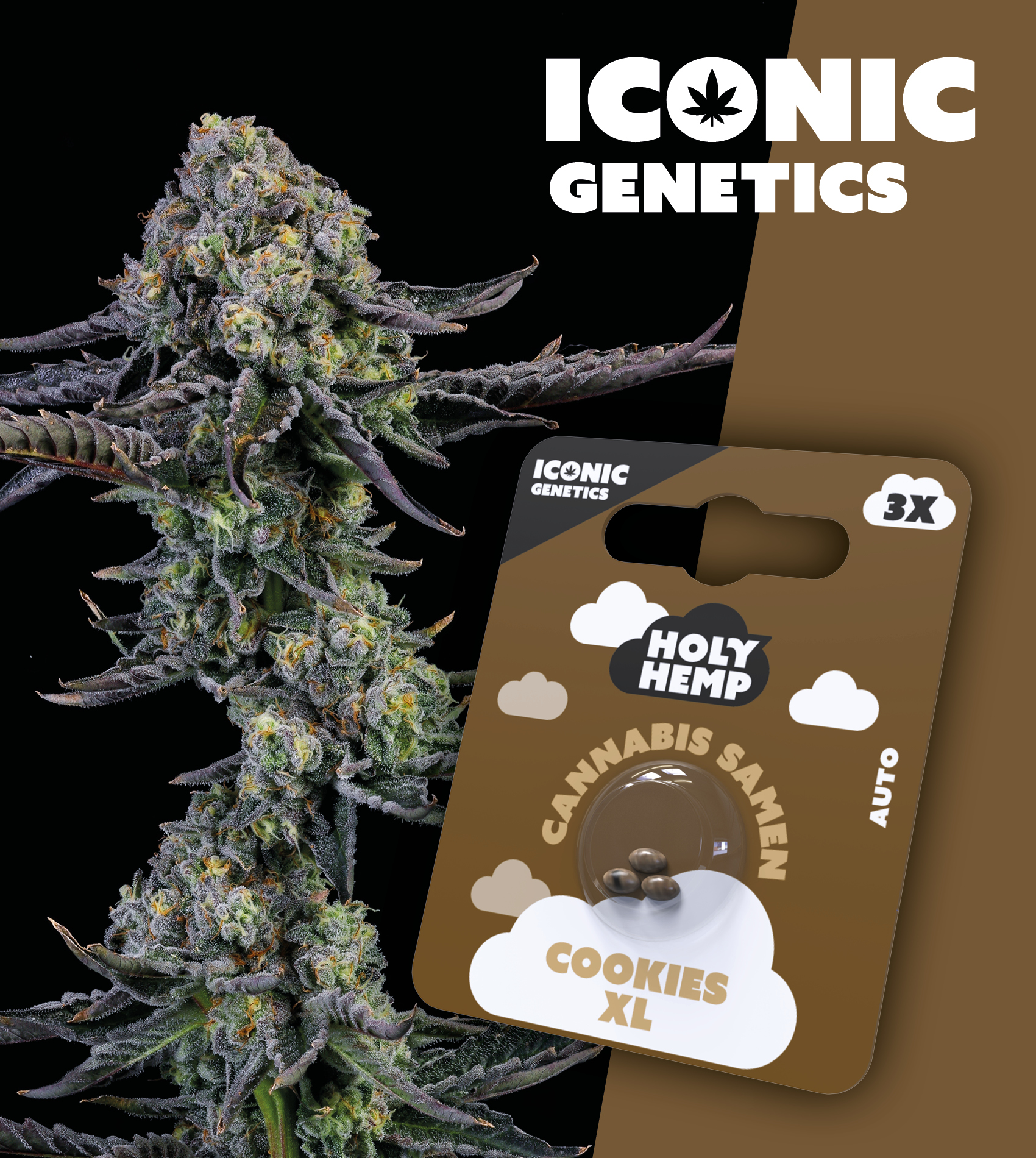 Holy Hermp_Cookies XL