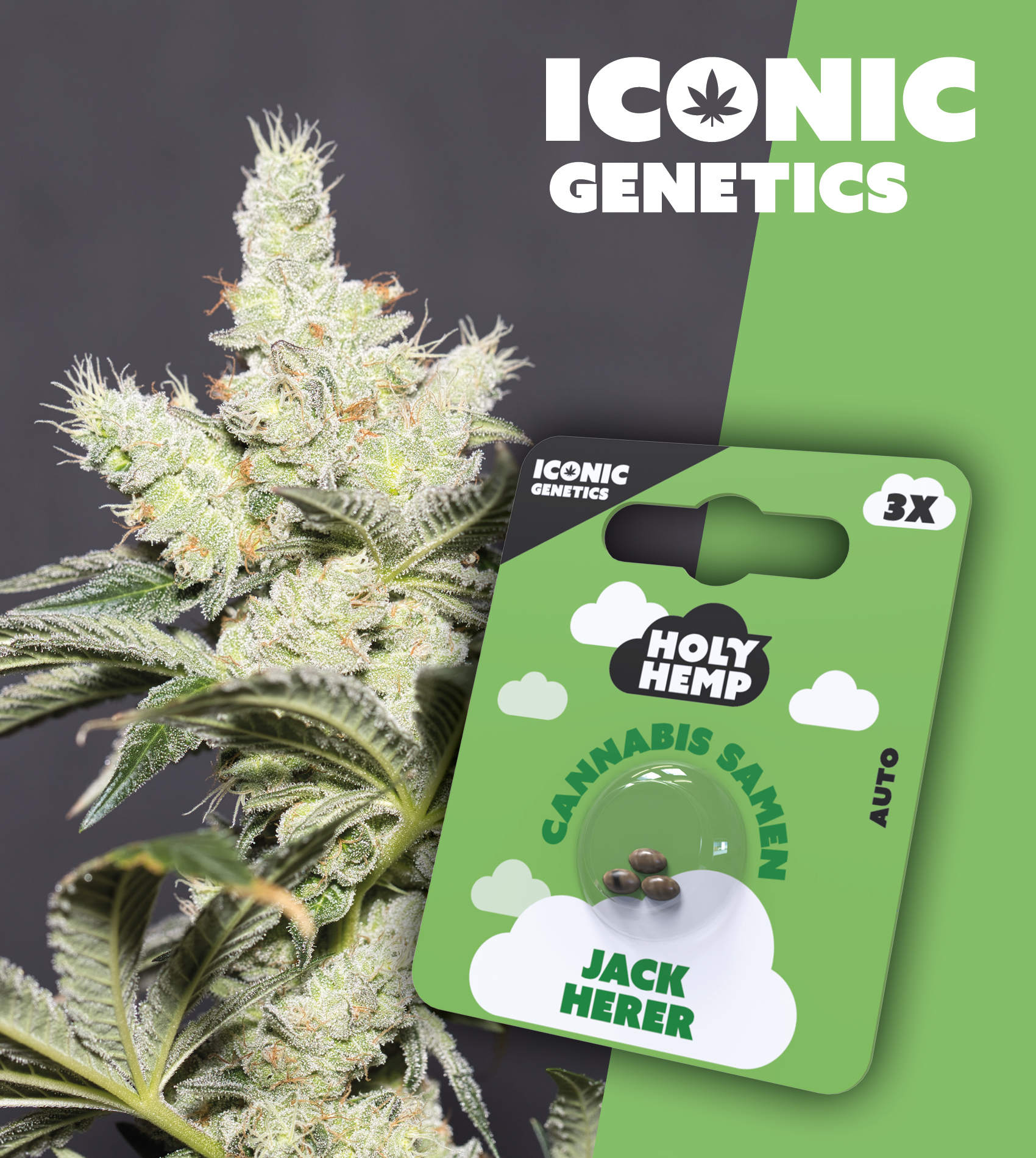 Holy Hemp_Jack Herer
